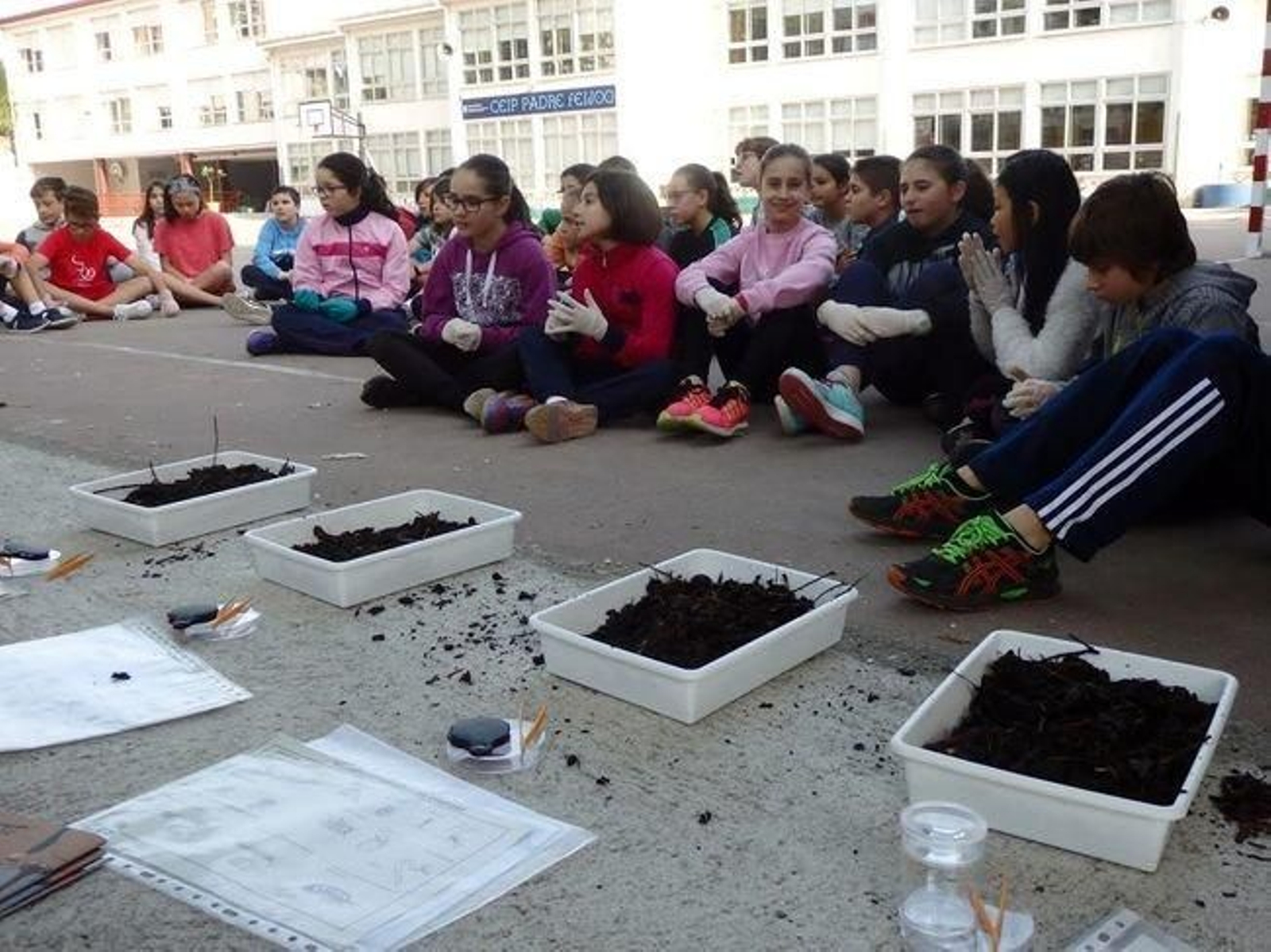 Os escolares reciben explicacións sobre as características e compoñentes do compost que elaboraron.